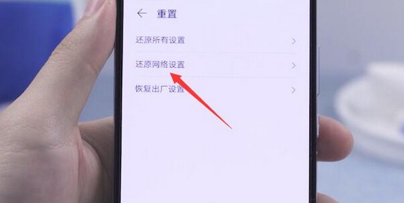 18-打開(kāi)還原網(wǎng)絡(luò)設(shè)置頁(yè)面