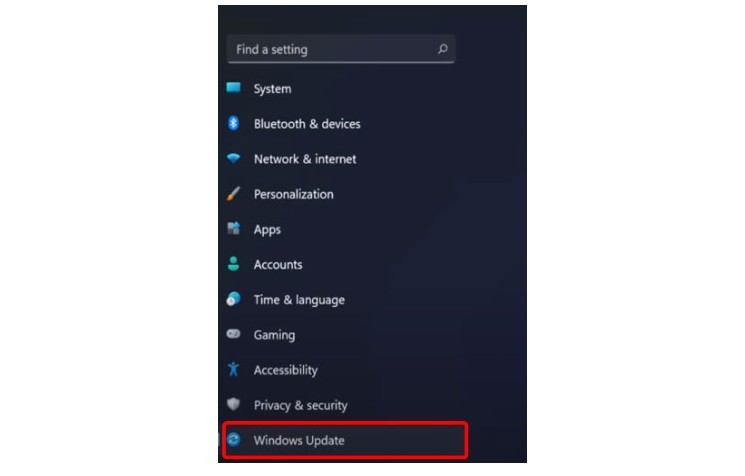 2-點(diǎn)擊“Windows Update”